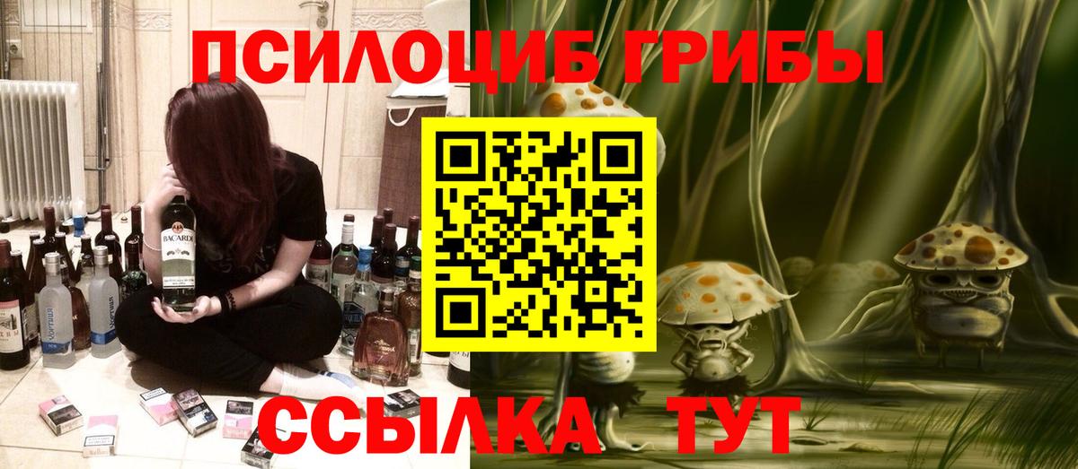 Шали  Псилоцибиновые грибы Psilocybine cubensis  Вход с VPN 
